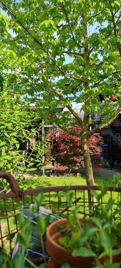 Apartment Maigloeckchen Fritzlar Dış mekan fotoğraf